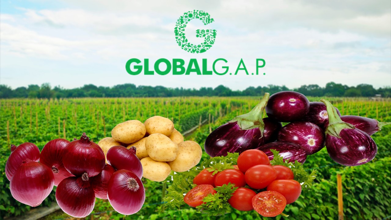 Global GAP Certification